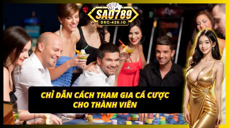 Miễn Trừ Trách Nhiệm SAO789 Dành Cho Các Tân Thủ Tìm Hiểu 2 Miễn trừ trách nhiệm SAO789 hỗ trợ các thành viên